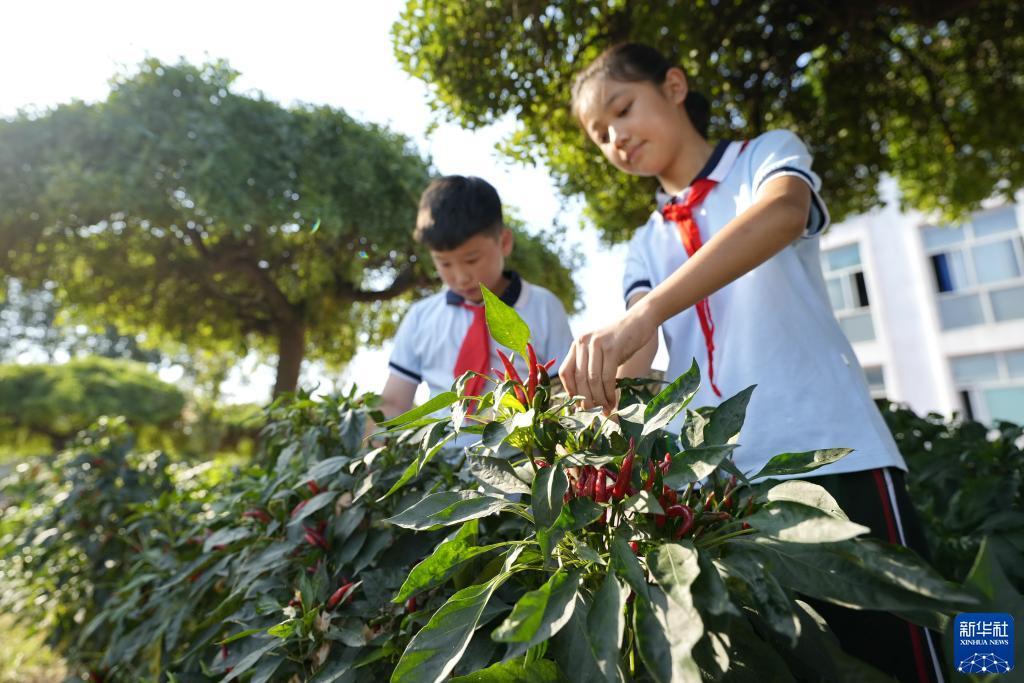 缅甸银钻娱乐合法吗